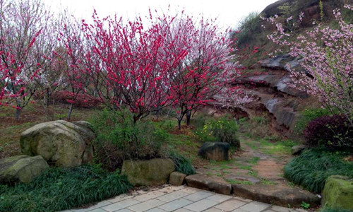 園冶杯專(zhuān)業(yè)獎：鹿鳴公園景觀(guān)工程