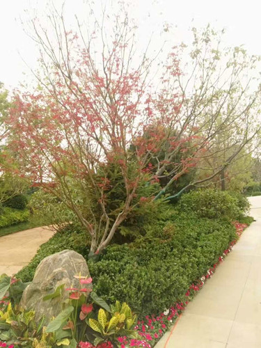 園冶杯專(zhuān)業(yè)獎：濟南萬(wàn)科龍湖城市之光施工