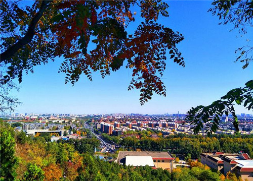 國家森林城市建設樹(shù)種選擇將影響生態(tài)效果