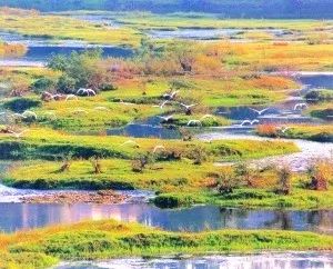 江西又有三個(gè)國家公園入選“中國森林氧吧”