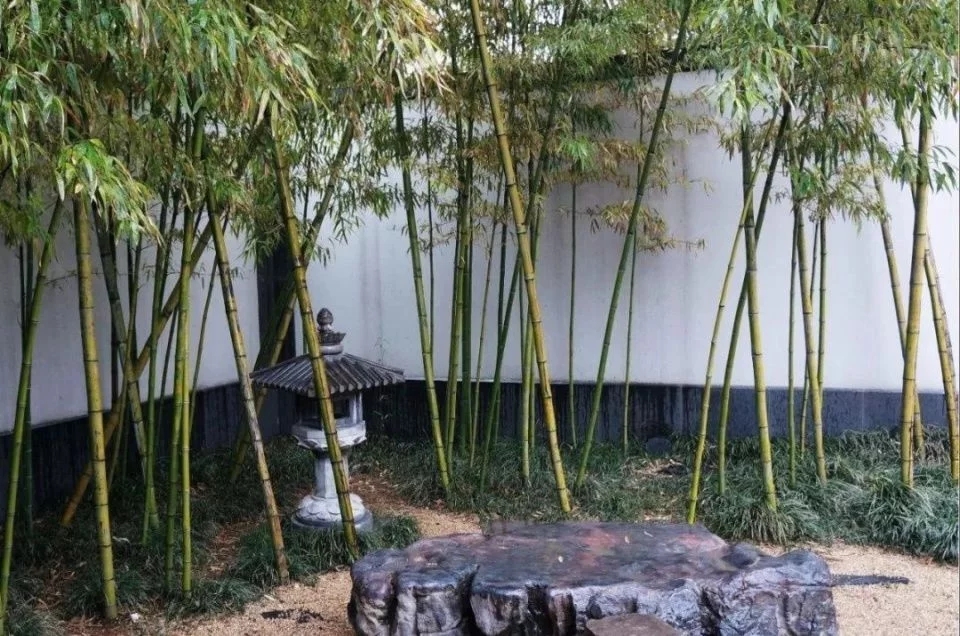 中式建筑的回歸與創(chuàng  )新