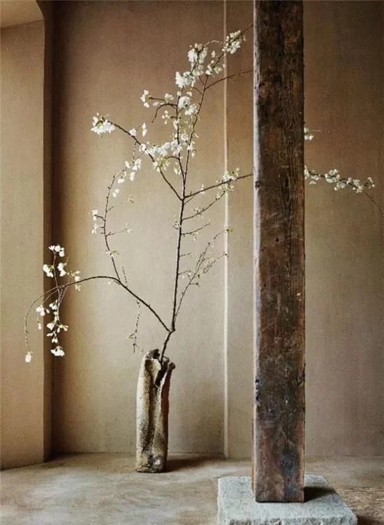 你家房子需要一點(diǎn)花藝