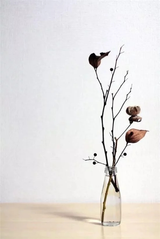 你家房子需要一點(diǎn)花藝