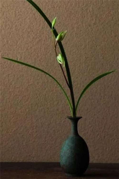 自制禪意插花，與心靈碰撞的心靈藝術(shù)