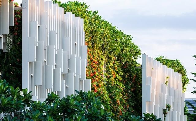 什么植物才適合用來(lái)做室外垂直綠化？