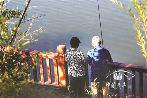 植物空間營(yíng)造如何與康養結合？