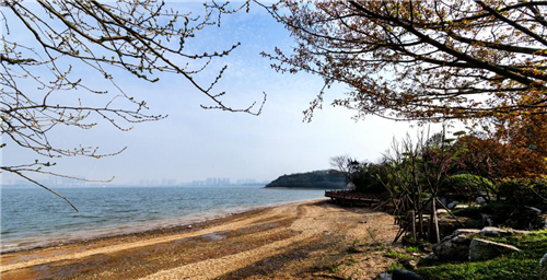園冶杯專(zhuān)業(yè)獎：岳陽(yáng)南湖龍山景區園林綠化景觀(guān)EPC項目