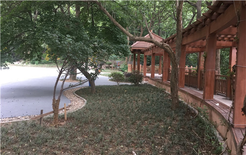 園冶杯專(zhuān)業(yè)獎：中山陵園風(fēng)景區頭陀嶺區域環(huán)境整治工程