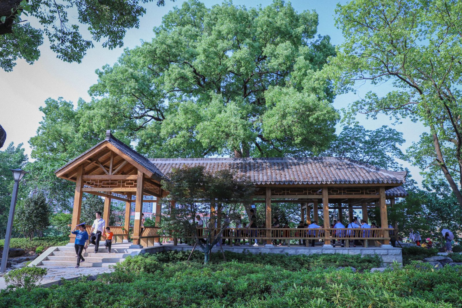 園冶杯專(zhuān)業(yè)獎：衡陽(yáng)市東洲島綜合開(kāi)發(fā)項目景觀(guān)設計