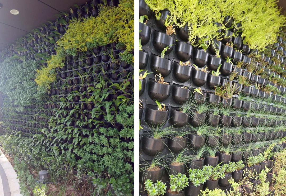 園冶杯專(zhuān)業(yè)獎：中航資本大廈超高層建筑屋頂花園