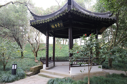 與大師同行 上海精品景觀(guān)項目考察活動(dòng)圓滿(mǎn)結束
