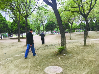 家門(mén)口的公園”最該適老