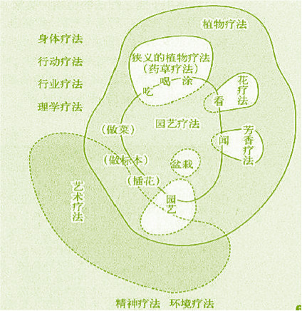 李樹(shù)華：園藝療法保持復工后身心健康