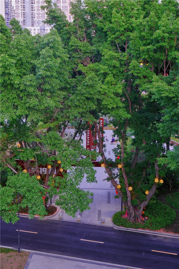 嶺南設計丨東莞鰜魚(yú)洲文化創(chuàng  )意產(chǎn)業(yè)園