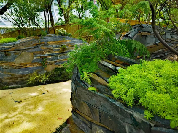 北斗星景觀(guān)丨世界會(huì )客廳花園