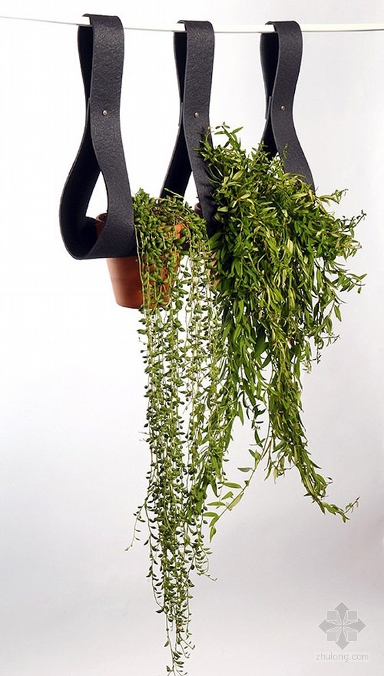 漂亮的懸掛式綠植系統 中國風(fēng)景園林網(wǎng)