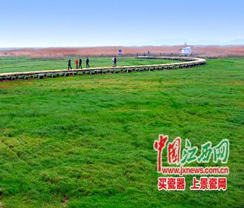 江西濕地，拿什么保護你(圖)