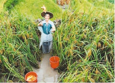 保護和推廣農業(yè)遺產(chǎn)在哪些方面獲得成功？