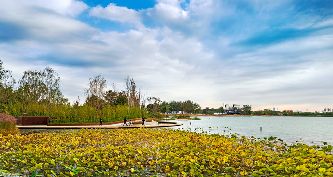 北京溫榆河公園亮出生態(tài)系統家底